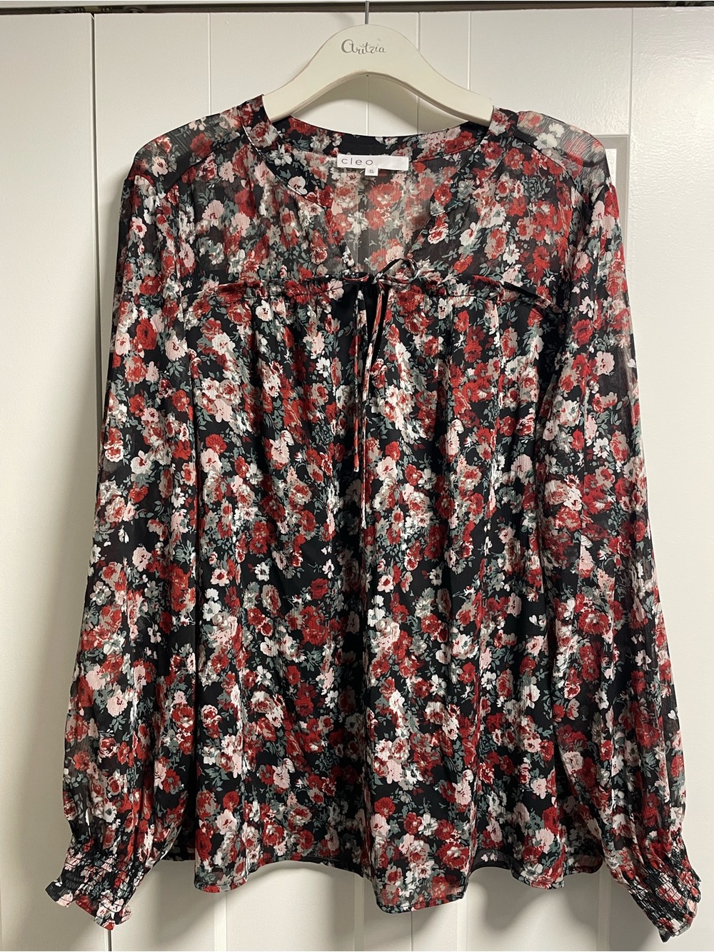 Cleo Floral Chiffon Ruffled Blouse Cottagecore Boho Black Red XL